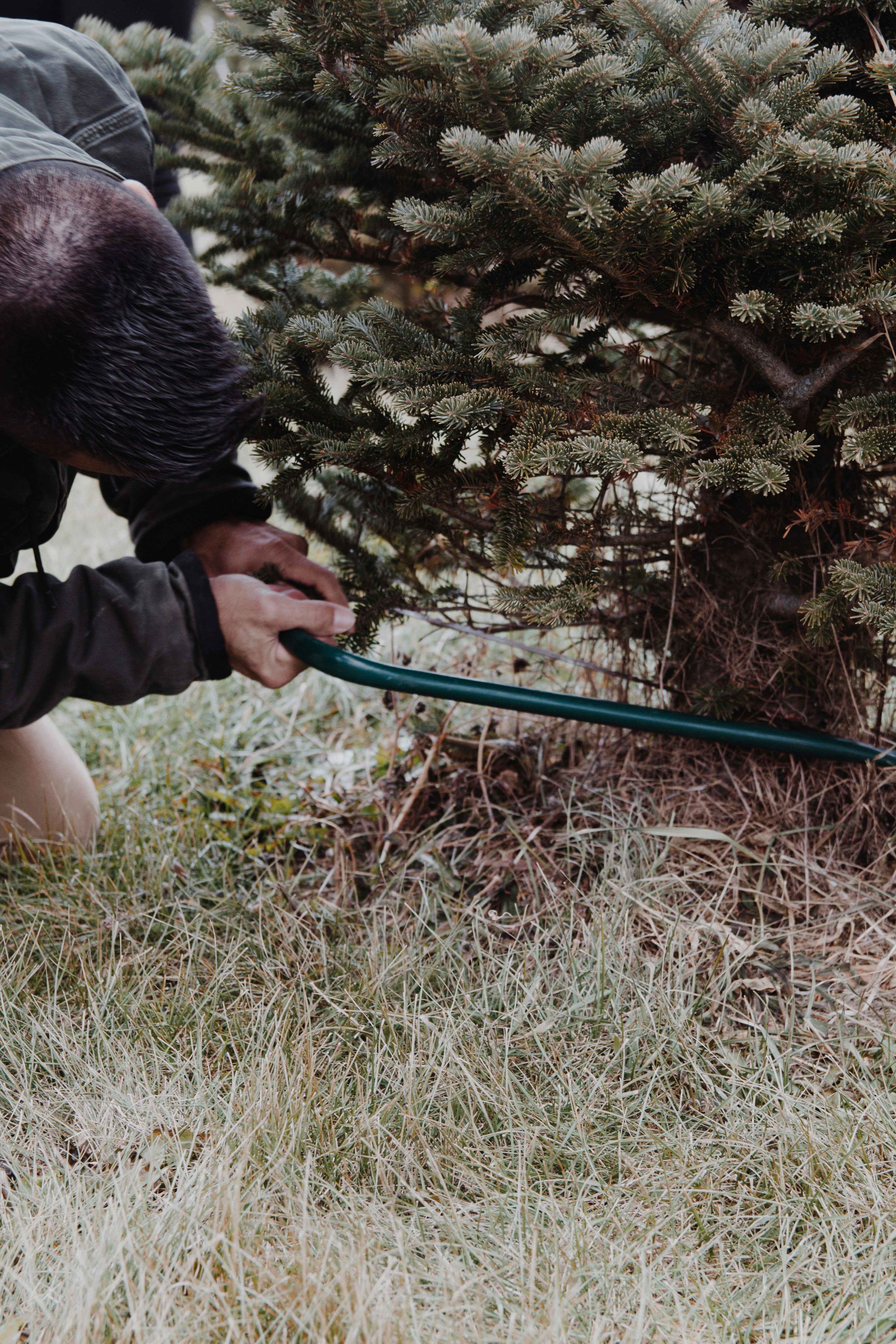 man using saw cutting tree during daytime